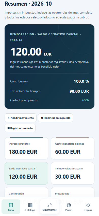 Resumen mensual de KapuControl con costes e ingresos ficticios de demostración